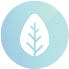hoja-ok