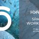HYAcorp Spain Workshop