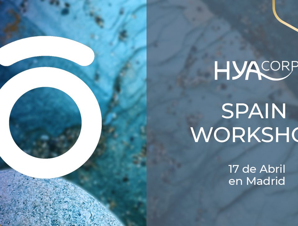 HYAcorp Spain Workshop